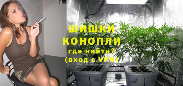 шишки Алексин