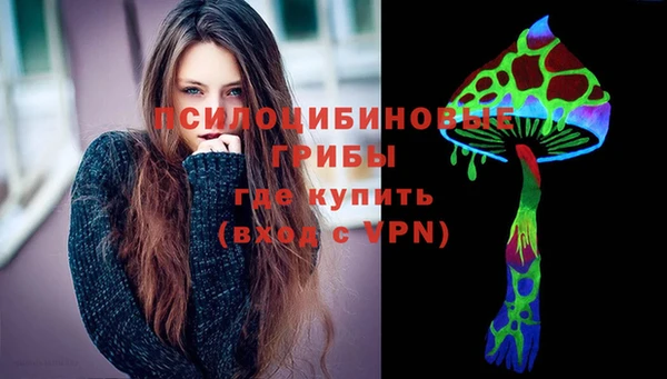 твердый Алексеевка